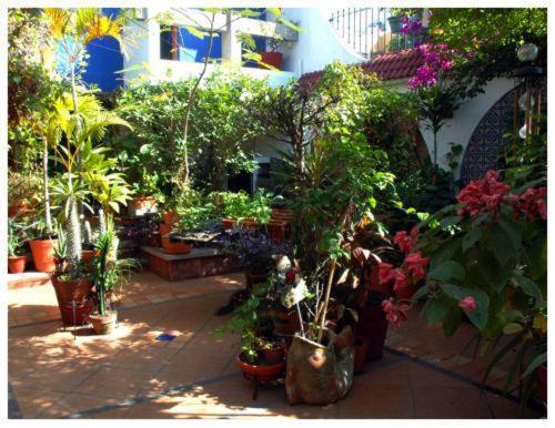 Suitel 522 Eco Hostel Mazatlán Exterior foto